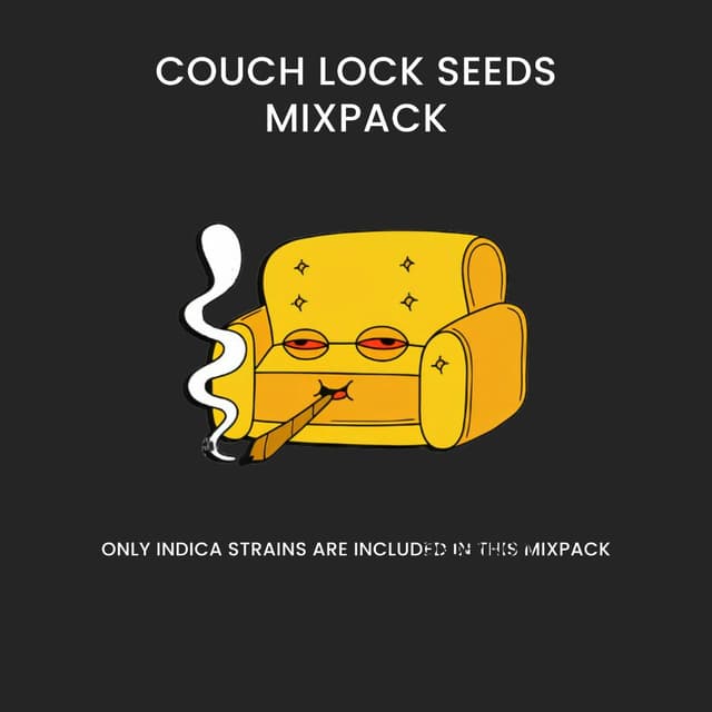 Couch Lock Mixpack Feminized