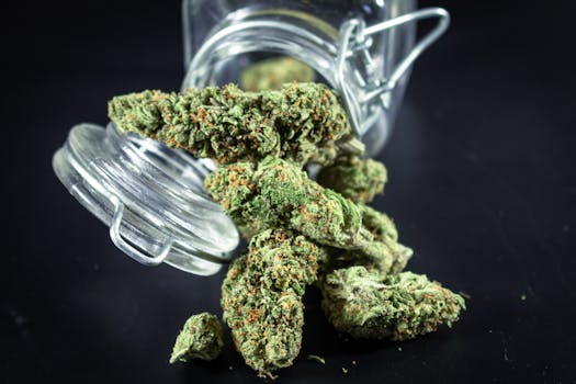 Gros plan détaillé de bourgeons de cannabis se déversant d'un bocal en verre, mettant en valeur la texture et la couleur.