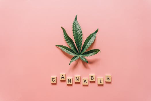 Vue à plat d'une feuille de cannabis avec des lettres en bois formant le mot 'cannabis' sur fond rose.
