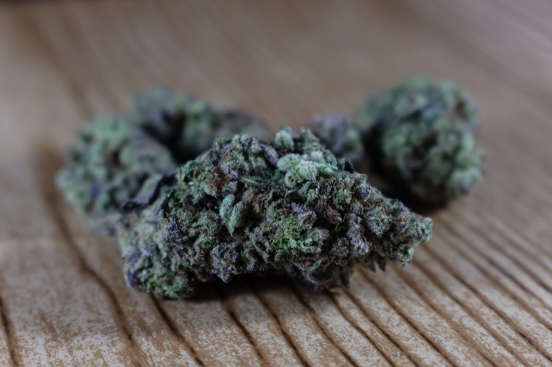 Bourgeons de cannabis séchés prêts à l'affinage dans des bocaux en verre montrant une dense couverture de trichomes