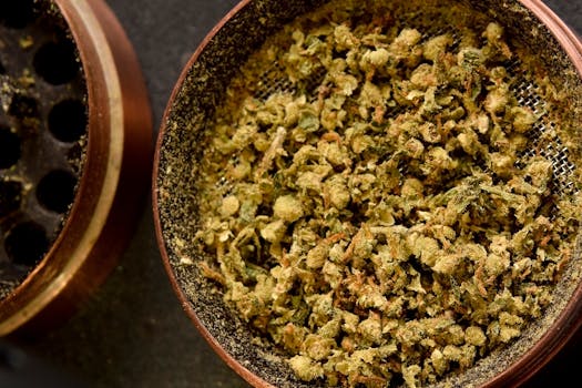 Gros plan de cannabis broyé dans un grinder, mettant en valeur la texture et les détails.