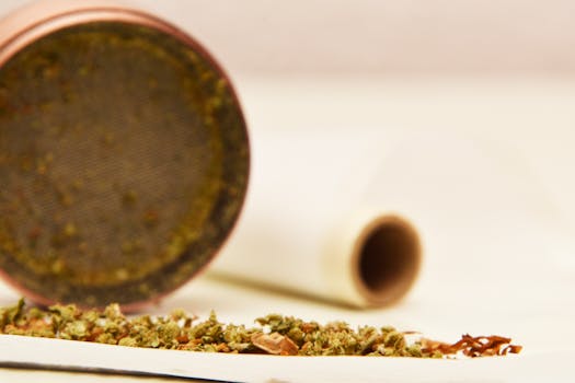 Gros plan macro de bourgeons de cannabis et d'un grinder sur fond blanc, idéal pour un thème médicinal ou récréatif.