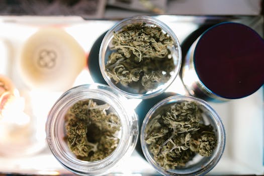 Gros plan de bourgeons de cannabis dans des bocaux vus de dessus, mettant en valeur le stockage du cannabis.