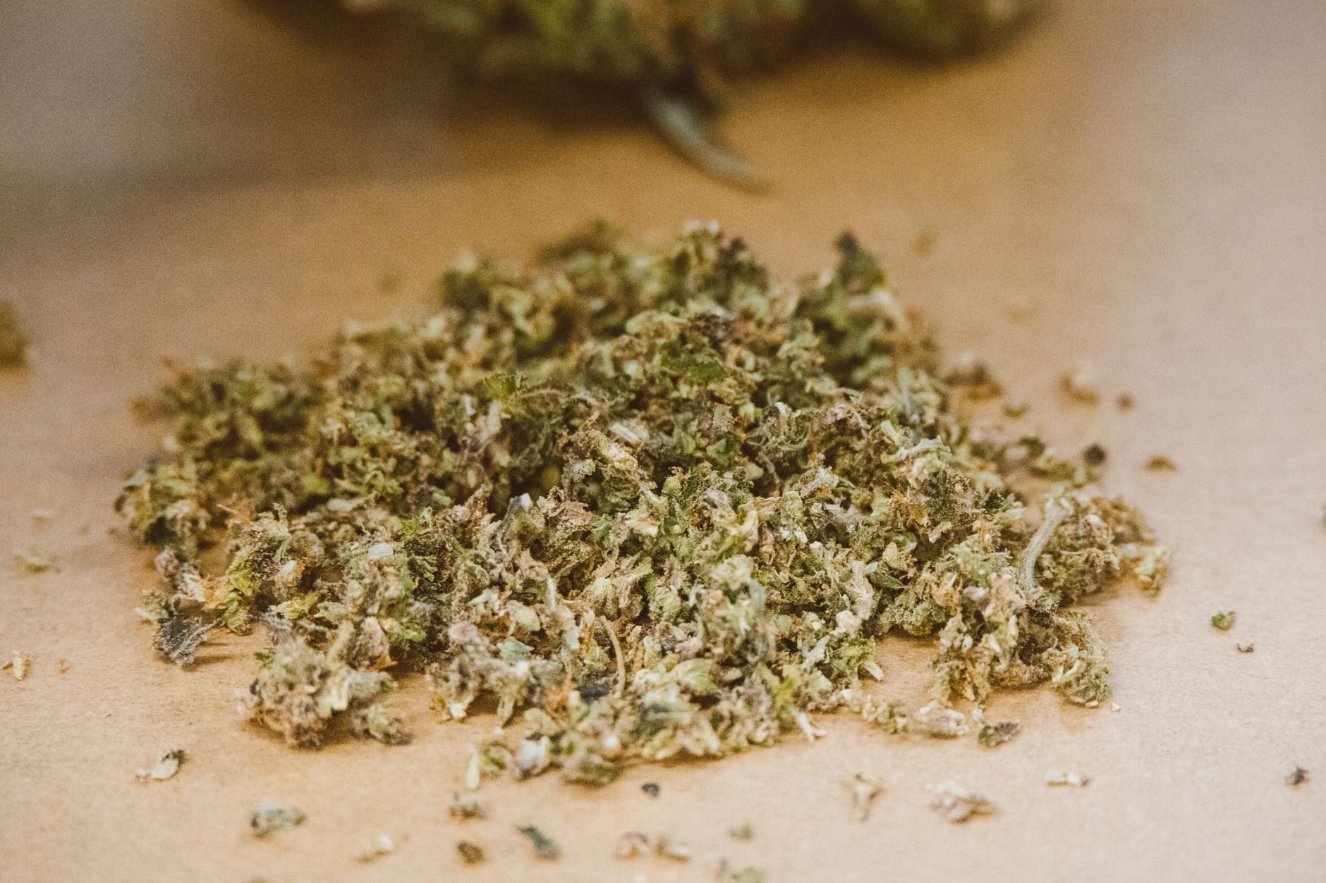 Gros plan détaillé de bourgeons de cannabis séchés sur fond neutre, mettant en valeur la texture et les couleurs.