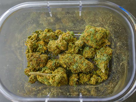 Gros plan de haute qualité sur des bourgeons de cannabis séchés dans un récipient en verre transparent, mettant en valeur la texture et la couleur.