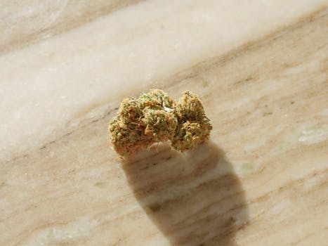 Gros plan macro d'un bourgeon de cannabis sur fond de marbre clair, mettant en valeur la texture et les détails.