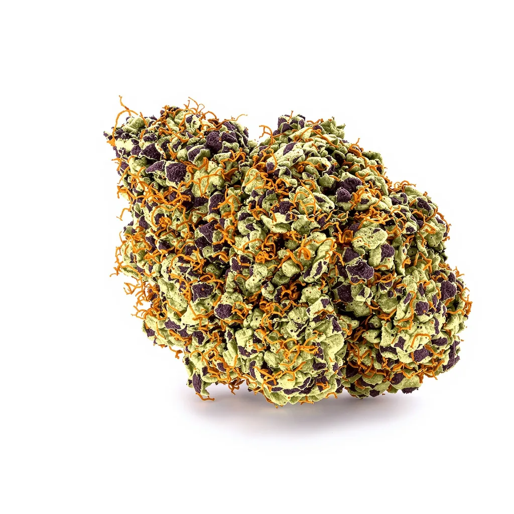 5th Element 79% indica / 21% sativa — fleur avec trichomes visibles