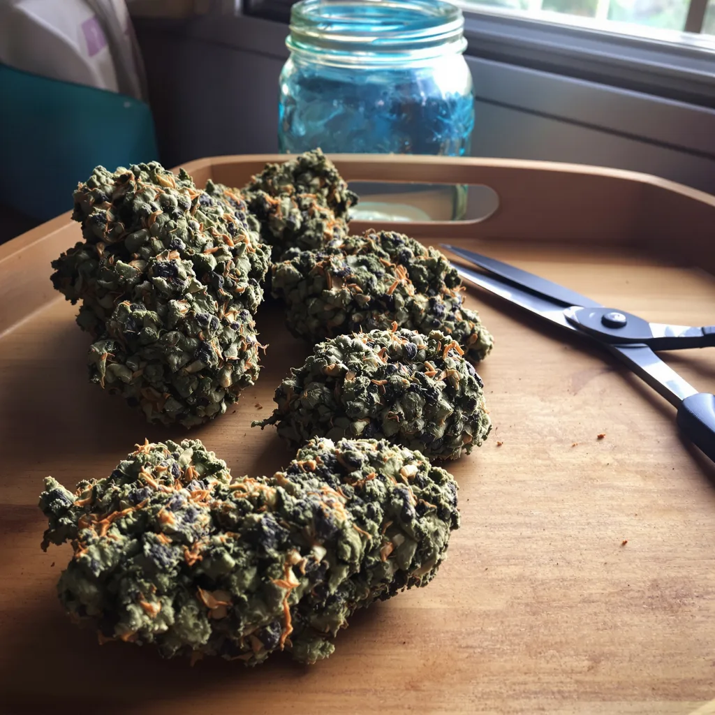 9 Pound Hammer 66% indica / 34% sativa — fleur avec trichomes visibles