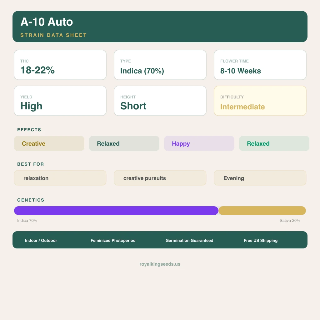 A-10 70% indica / 20% sativa — fleur avec trichomes visibles