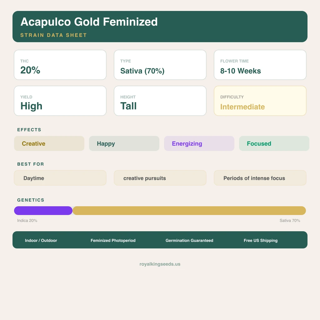 Acapulco Gold 20% indica / 70% sativa — fleur avec trichomes visibles