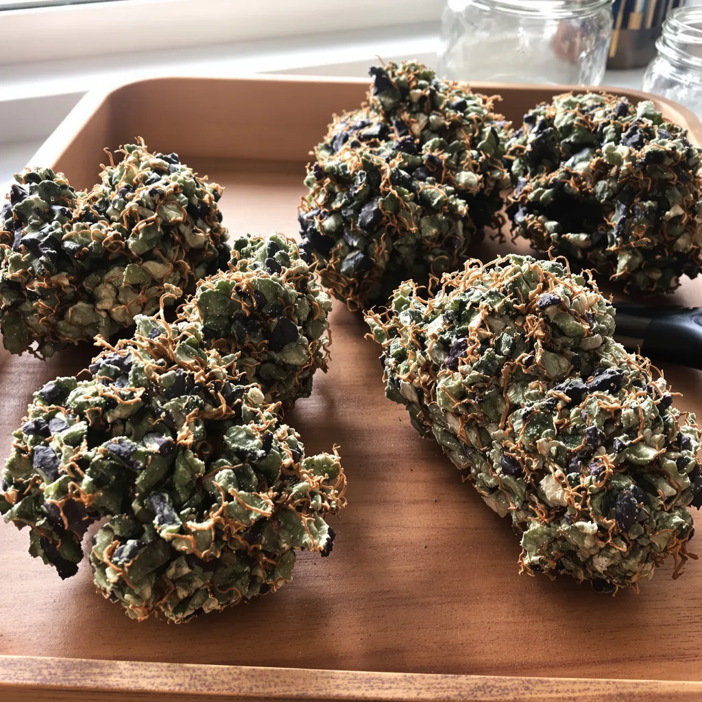 Ace of Spades 66% indica / 34% sativa — fleur avec trichomes visibles