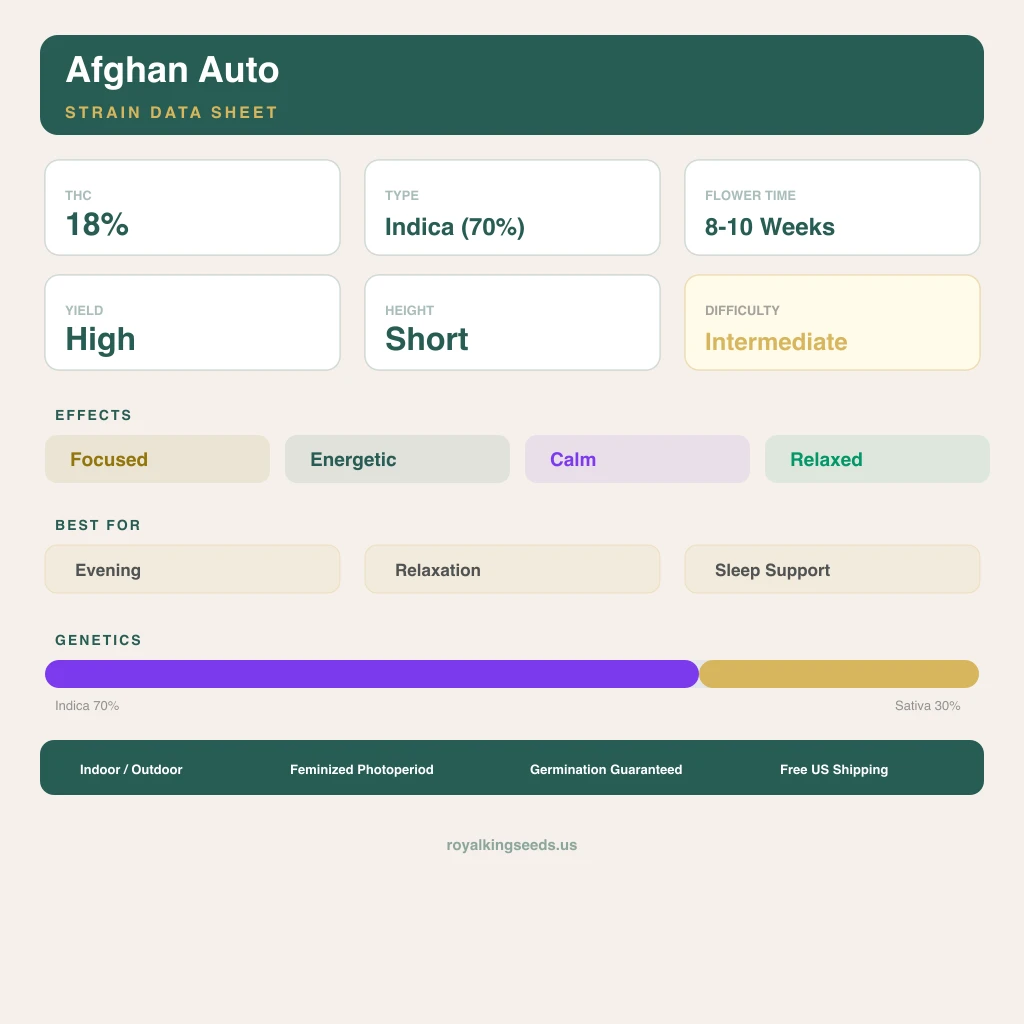 Afghan 70% indica / 30% sativa — fleur avec trichomes visibles