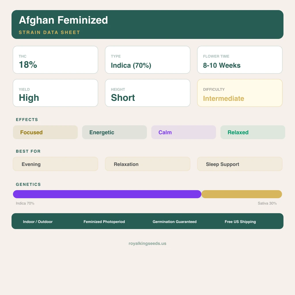 Afghan 70% indica / 30% sativa — fleur avec trichomes visibles