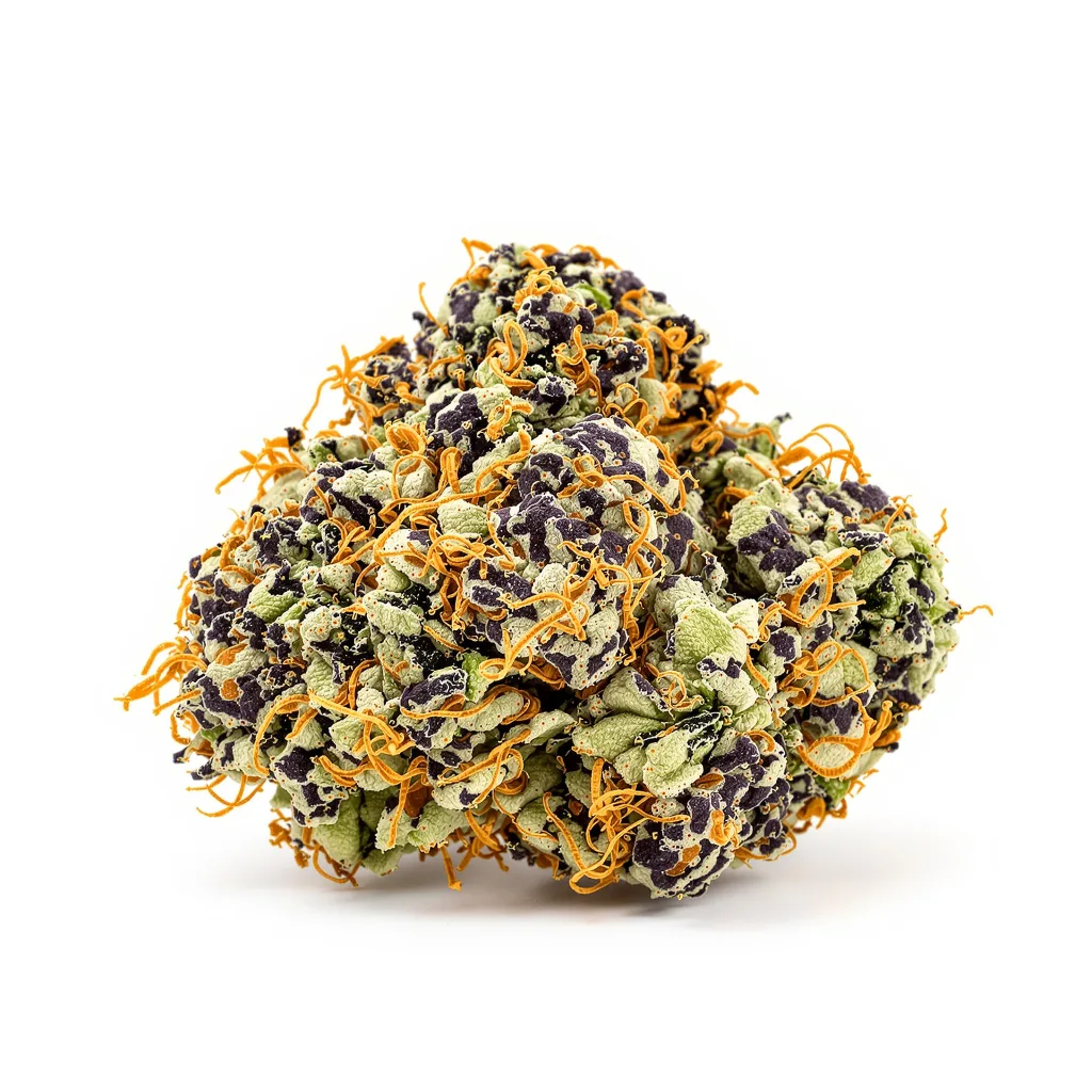 Afghan 70% indica / 30% sativa — fleur avec trichomes visibles