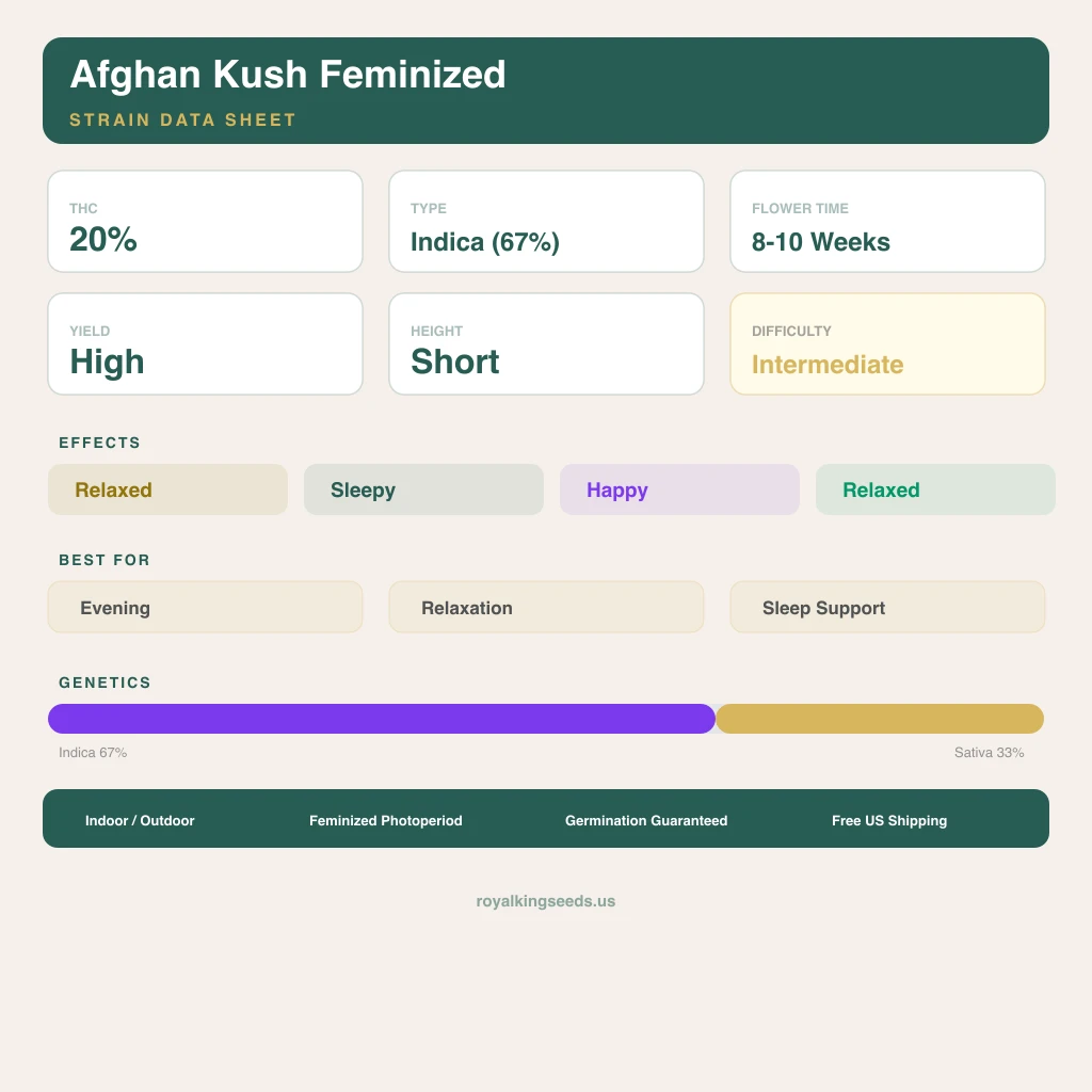 Afghan Kush 67% indica / 33% sativa — fleur avec trichomes visibles