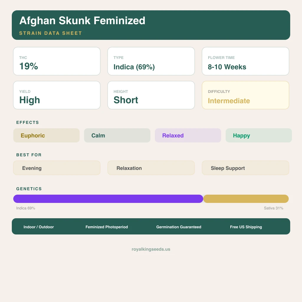 Afghan Skunk 69% indica / 31% sativa — fleur avec trichomes visibles