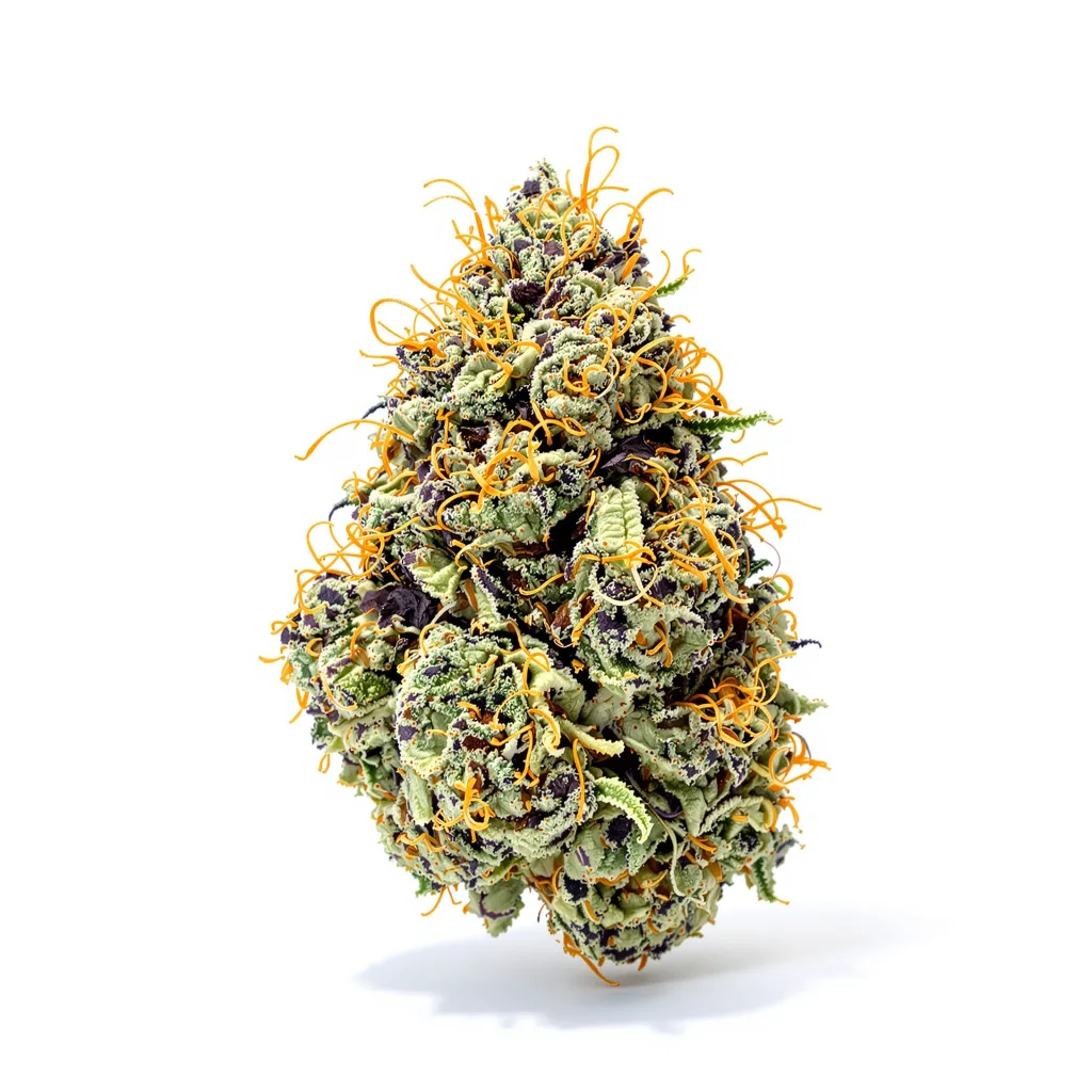 Afghani Bullrider 70% indica / 30% sativa — fleur avec trichomes visibles