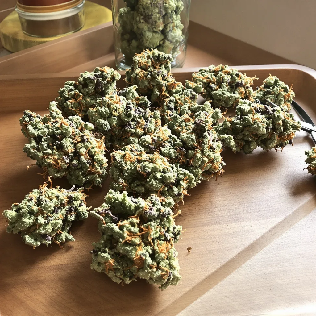 AK-47 48% indica / 52% sativa — fleur avec trichomes visibles