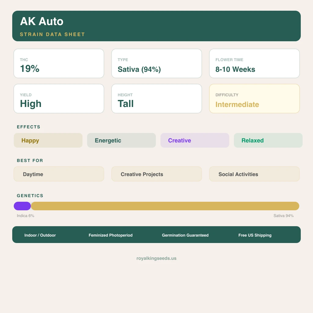 AK 6% indica / 94% sativa — fleur avec trichomes visibles