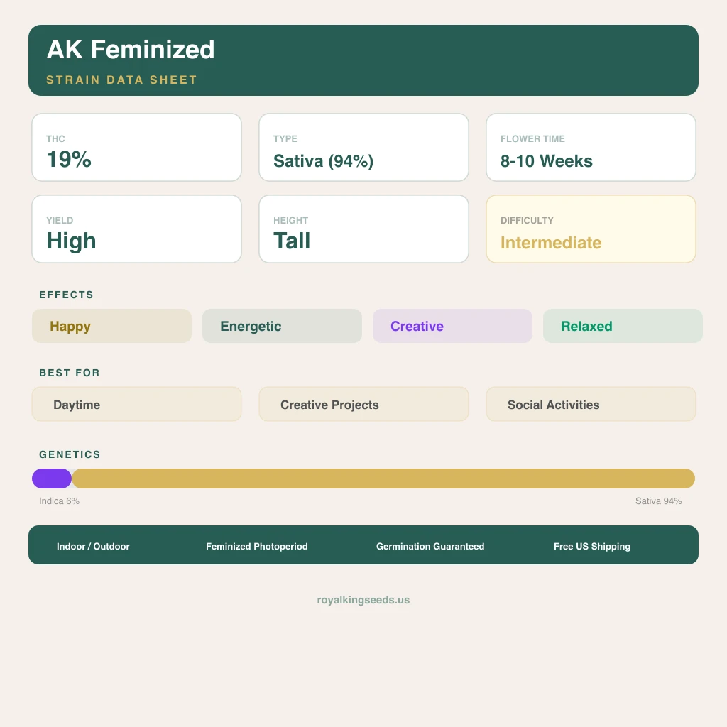 AK 6% indica / 94% sativa — fleur avec trichomes visibles