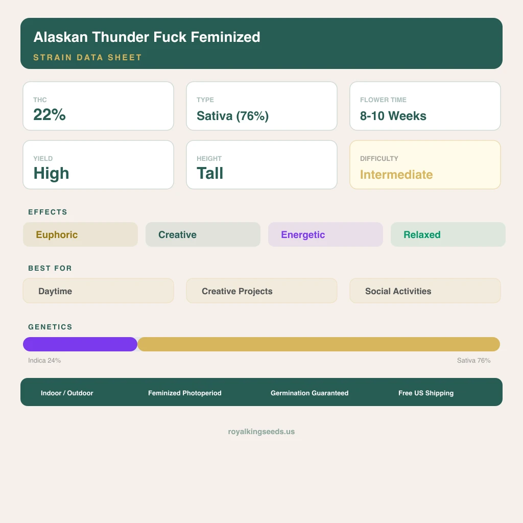 Alaskan Thunder Fuck 24% indica / 76% sativa — fleur avec trichomes visibles