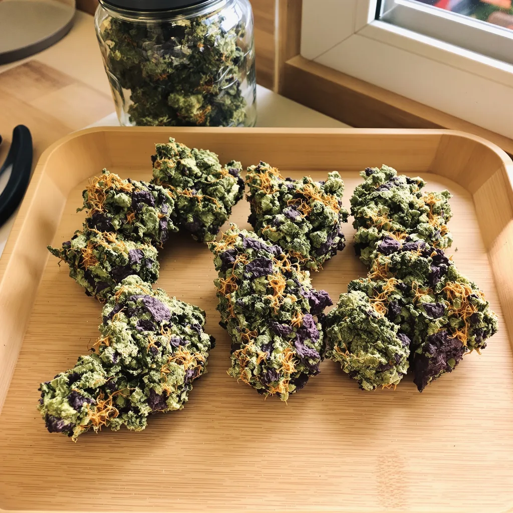 Alien Bubba 79% indica / 21% sativa — fleur avec trichomes visibles