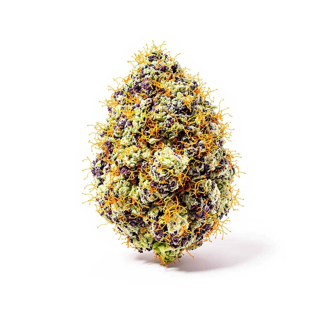 Alien Bubba 79% indica / 21% sativa — fleur avec trichomes visibles