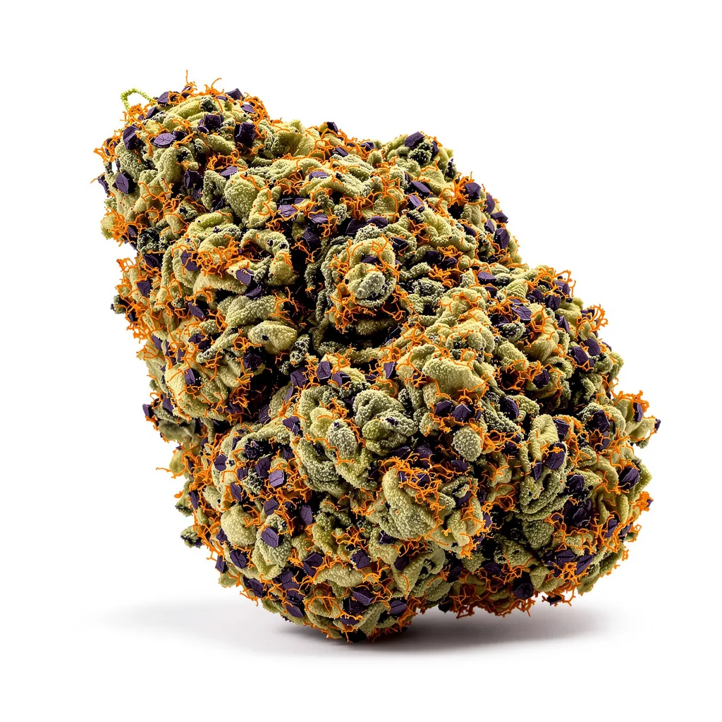 Alien Dawg 81% indica / 19% sativa — fleur avec trichomes visibles