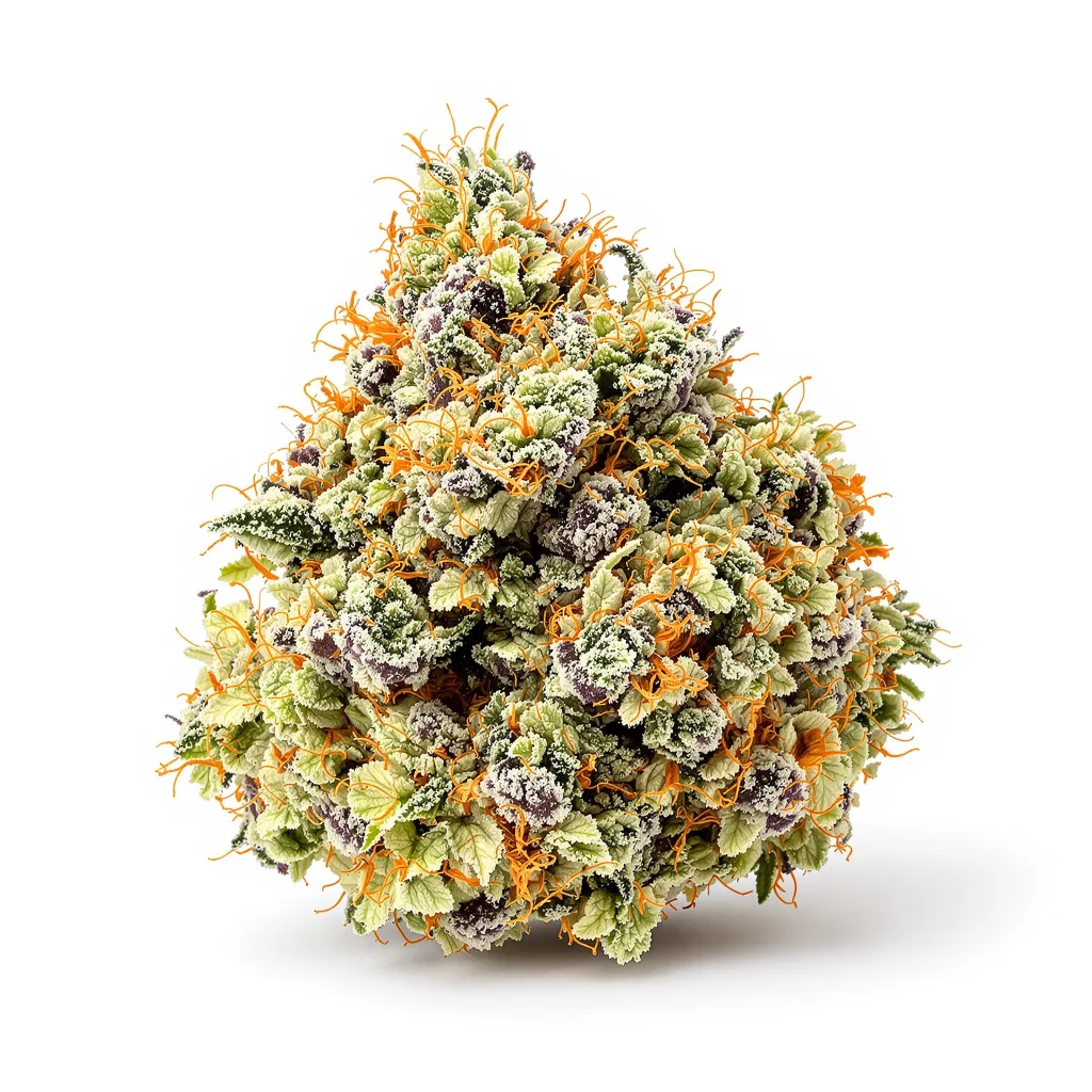 Alien Kush 52% indica / 48% sativa — fleur avec trichomes visibles