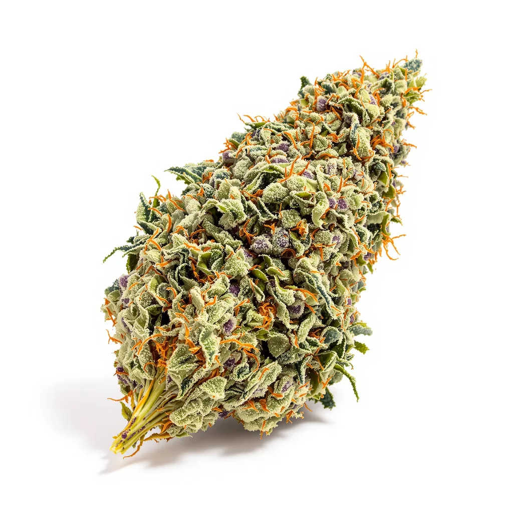 Alien Kush 52% indica / 48% sativa — fleur avec trichomes visibles