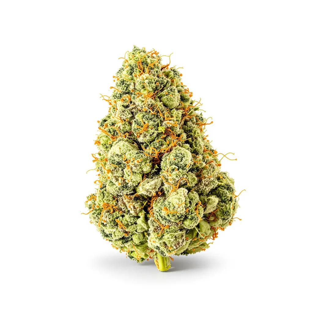 Ambrosia 16% indica / 84% sativa — fleur avec trichomes visibles