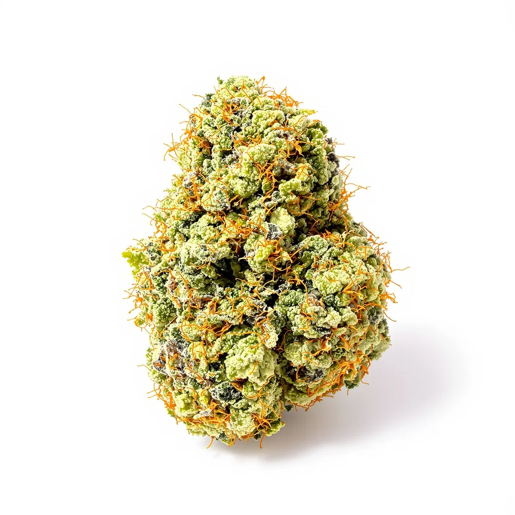 American Haze 16% indica / 84% sativa — fleur avec trichomes visibles