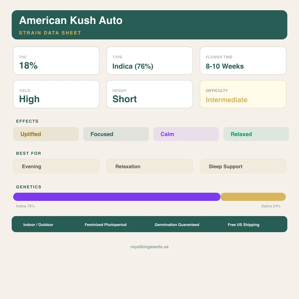 American Kush 76% indica / 24% sativa — fleur avec trichomes visibles