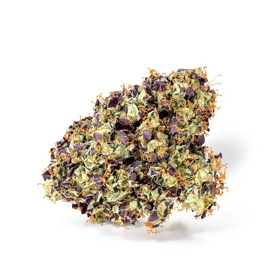 Ancient OG 77% indica / 23% sativa — fleur avec trichomes visibles