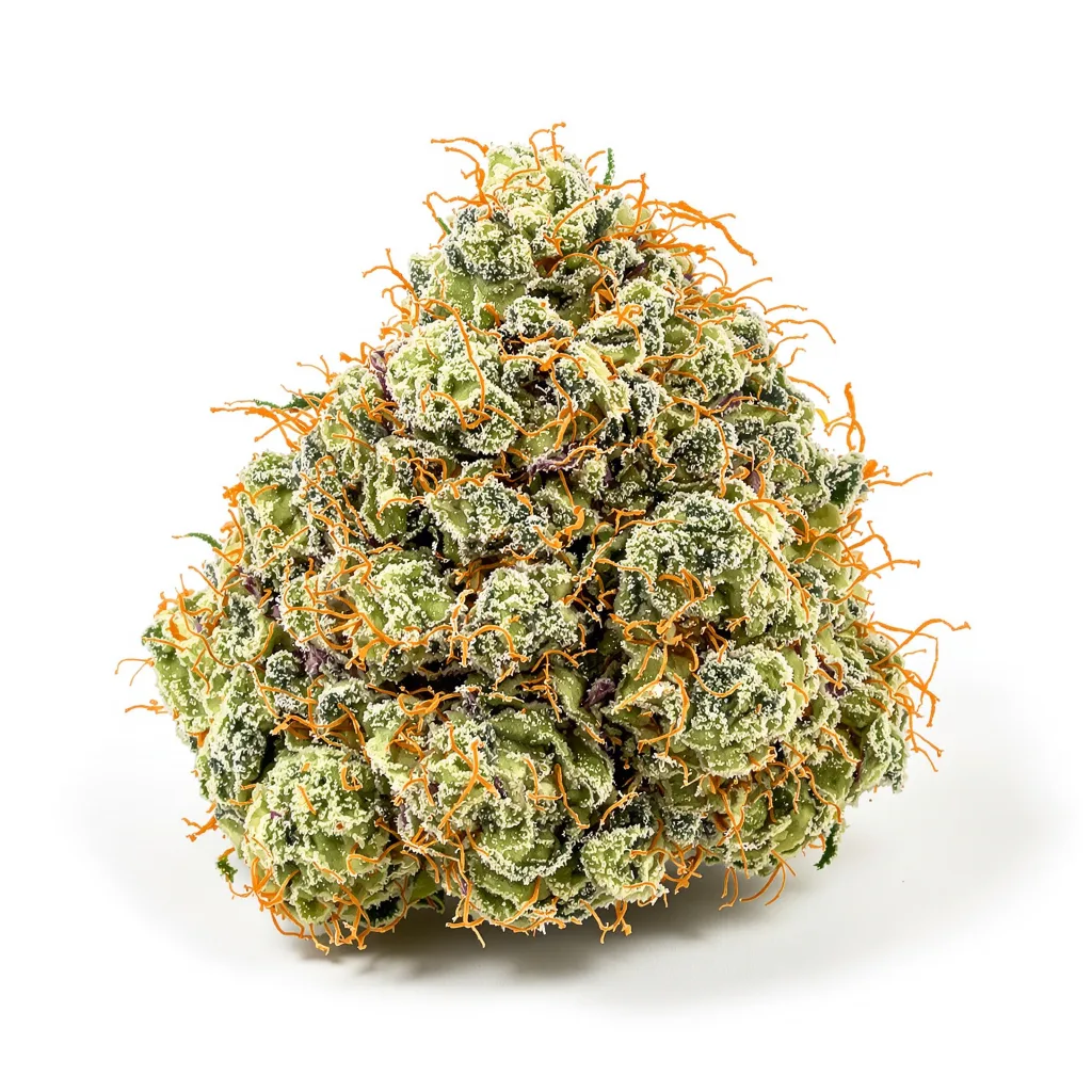 Apple Mintz 36% indica / 64% sativa — fleur avec trichomes visibles