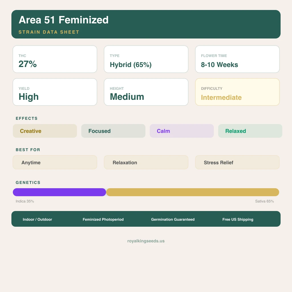 Area 51 35% indica / 65% sativa — fleur avec trichomes visibles