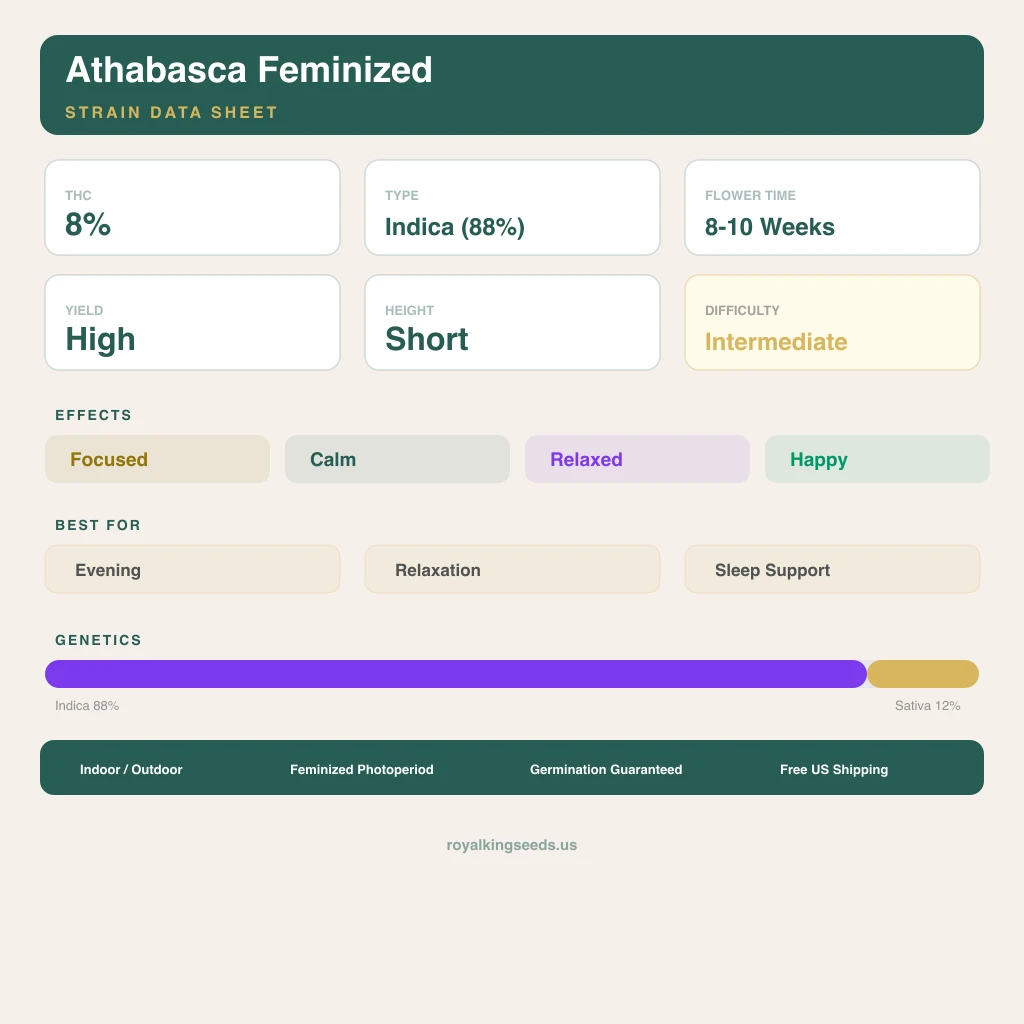 Athabasca 88% indica / 12% sativa — fleur avec trichomes visibles