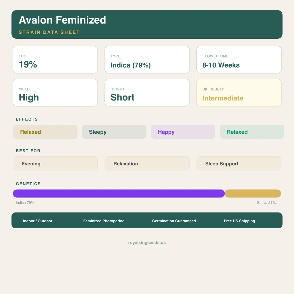 Avalon 79% indica / 21% sativa — fleur avec trichomes visibles