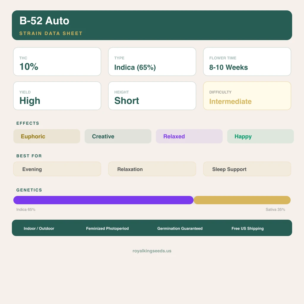 B-52 65% indica / 35% sativa — fleur avec trichomes visibles