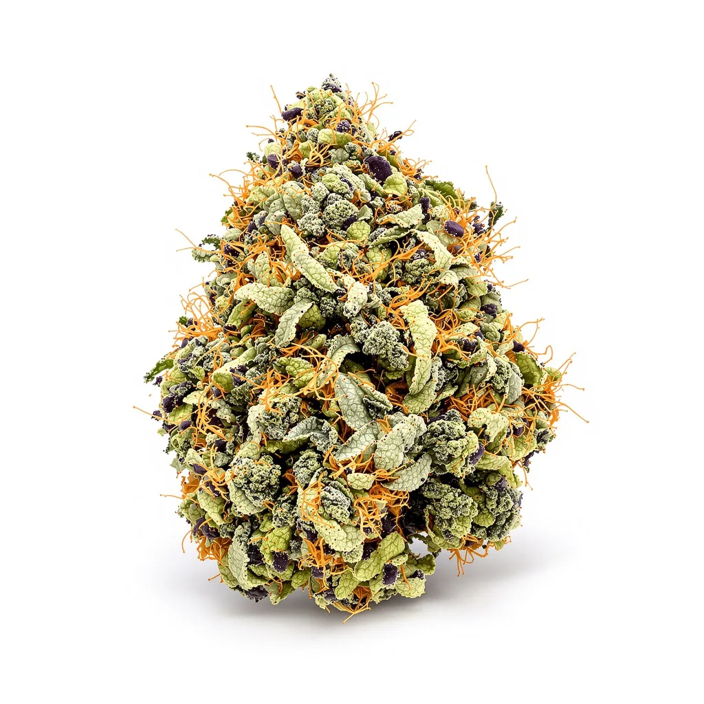 Barbara Bud 69% indica / 31% sativa — fleur avec trichomes visibles
