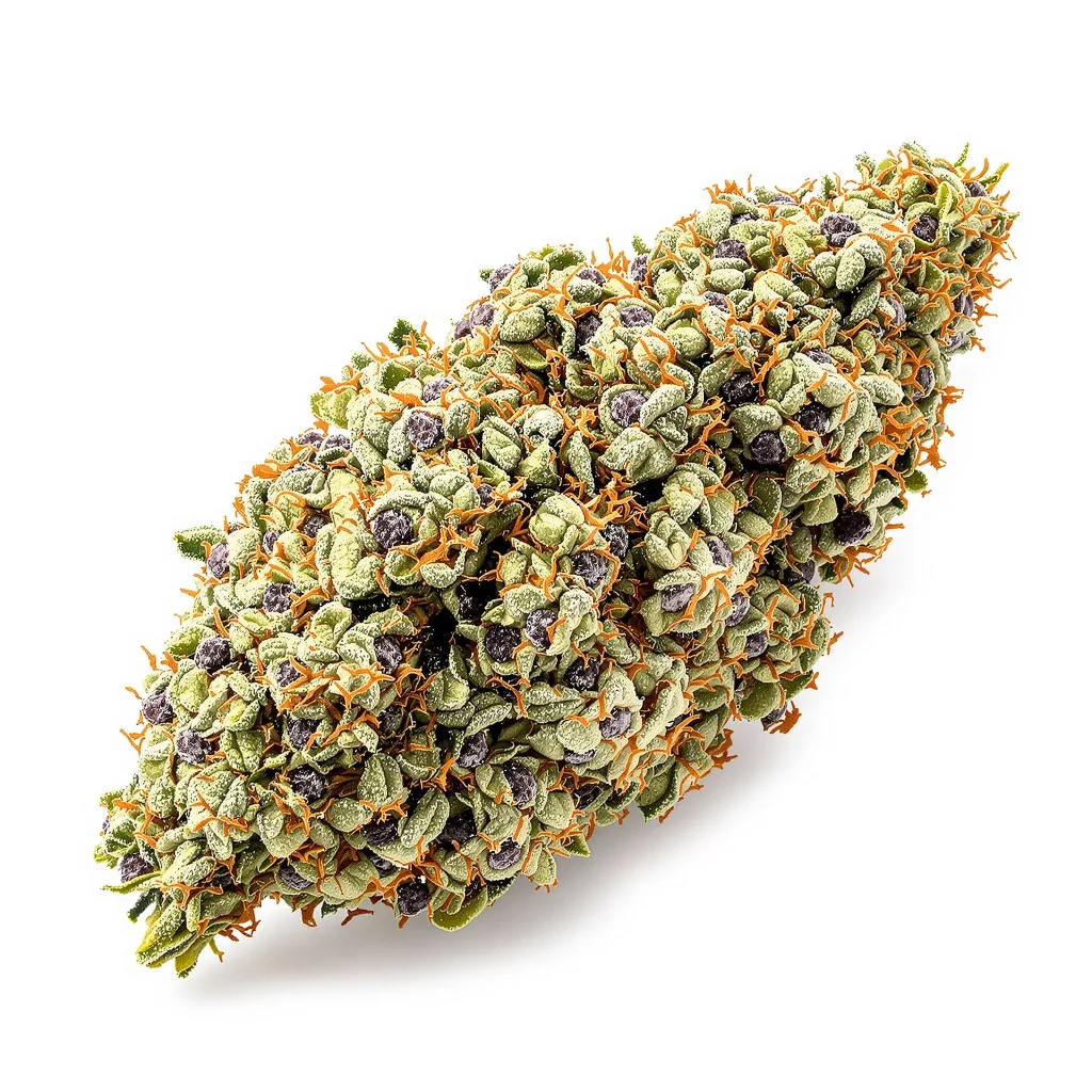 Bay 11 50% indica / 50% sativa — fleur avec trichomes visibles