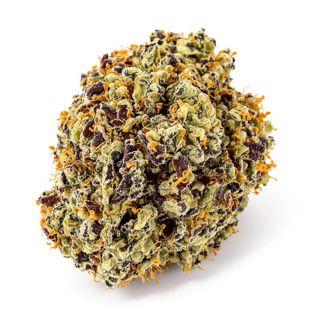 Bay Dream 66% indica / 34% sativa — fleur avec trichomes visibles