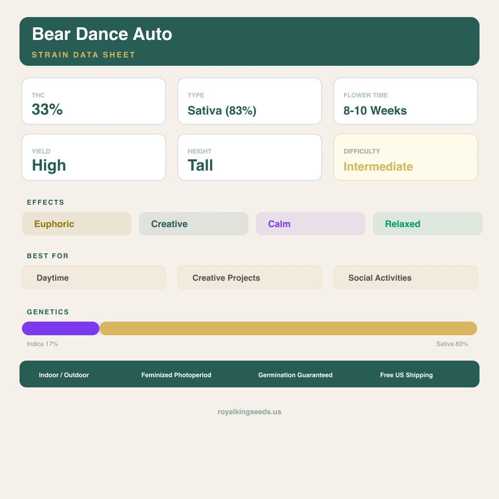 Bear Dance 17% indica / 83% sativa — fleur avec trichomes visibles