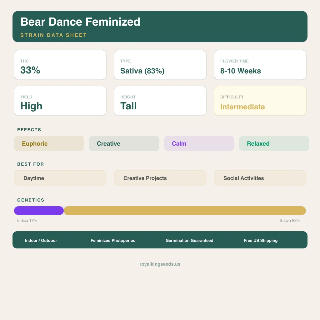 Bear Dance 17% indica / 83% sativa — fleur avec trichomes visibles