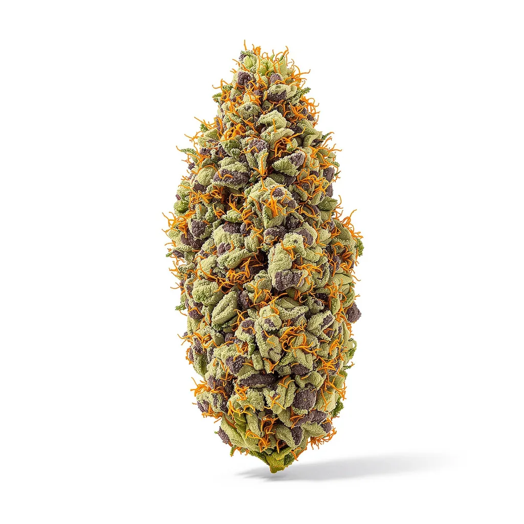 Big Cheese 84% indica / 16% sativa — fleur avec trichomes visibles