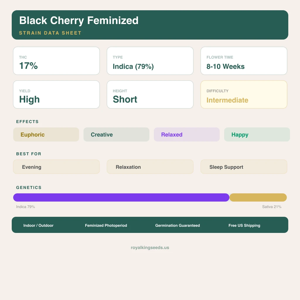 Black Cherry 79% indica / 21% sativa — fleur avec trichomes visibles