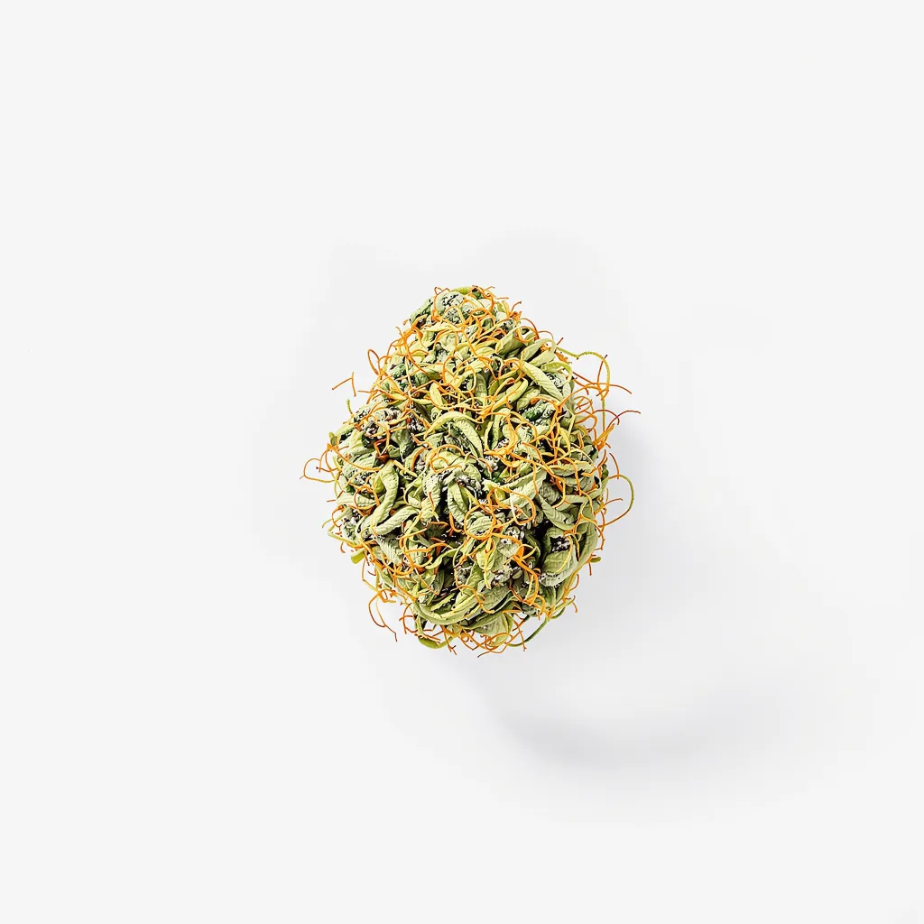 Black Cherry Soda 20% indica / 80% sativa — fleur avec trichomes visibles