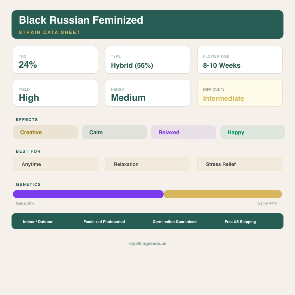 Black Russian 56% indica / 44% sativa — fleur avec trichomes visibles