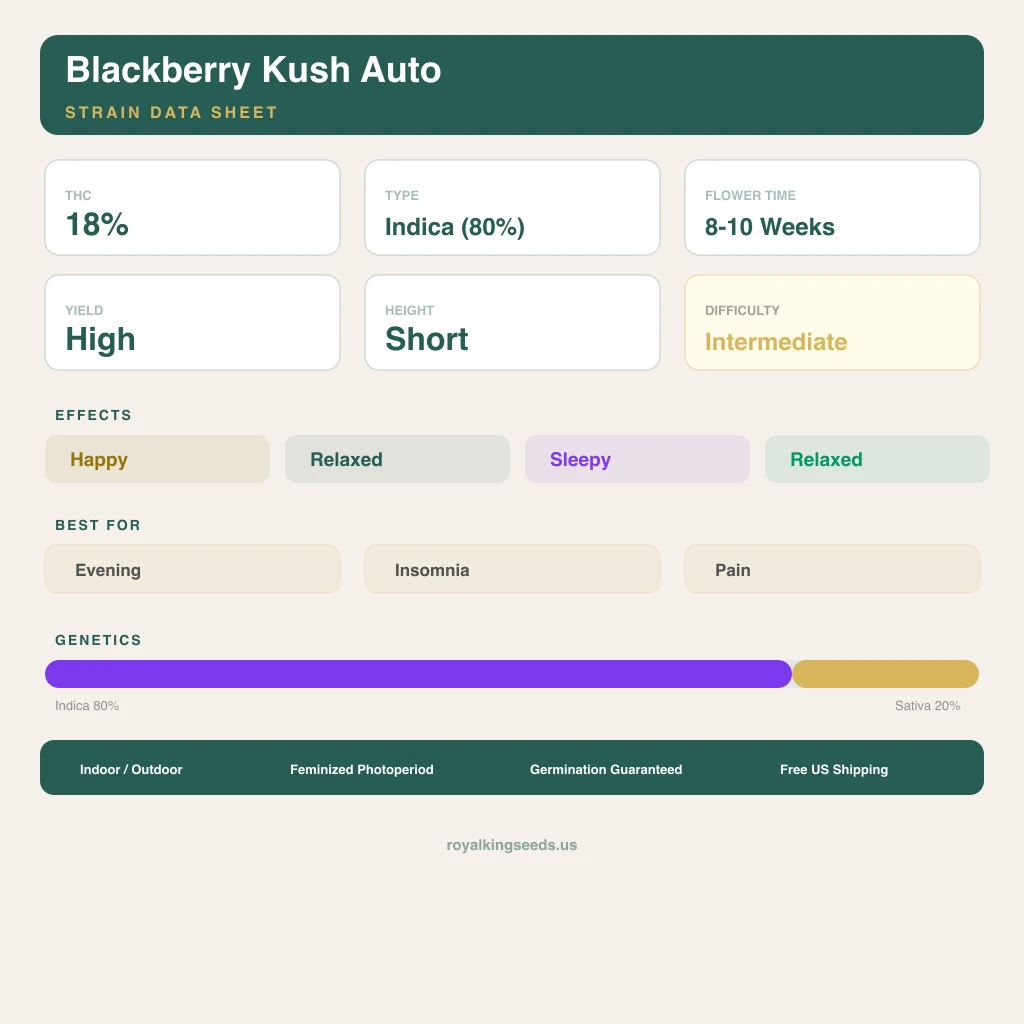 Blackberry Kush 80% indica / 20% sativa — fleur avec trichomes visibles