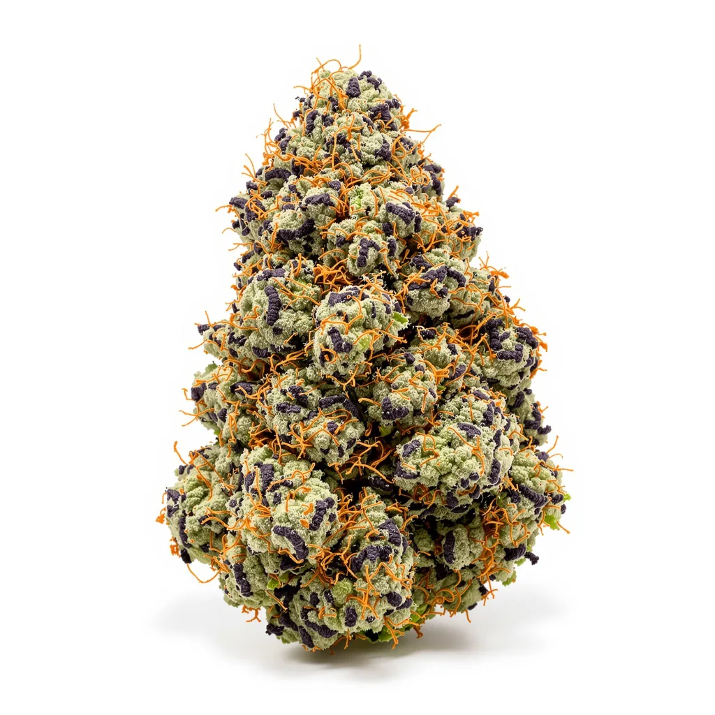 Blackberry Kush 80% indica / 20% sativa — fleur avec trichomes visibles